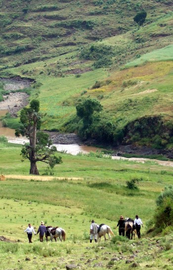 Sophie Neville in Ethiopia Sophie Neville in Ethiopia