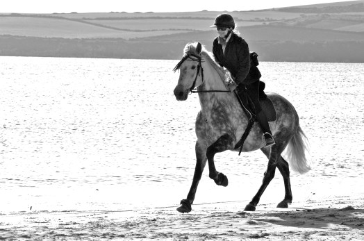 Sophie Neville Sophie Neville