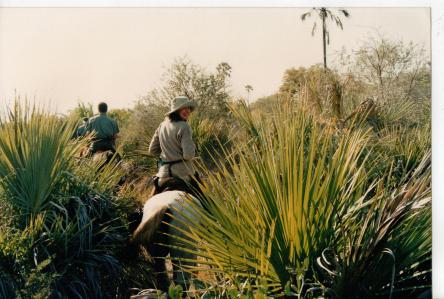 Sophie Neville in the Okavango Delta Sophie Neville in the Okavango Delta