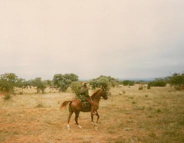 Sophie Neville on Touchstone Sophie Neville on Touchstone