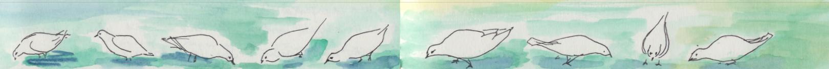 Funnily Enough Dove Frieze