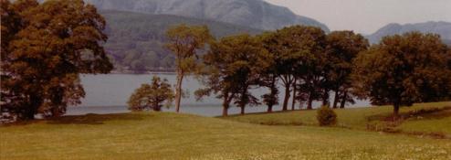 The view from Bank Ground Farm