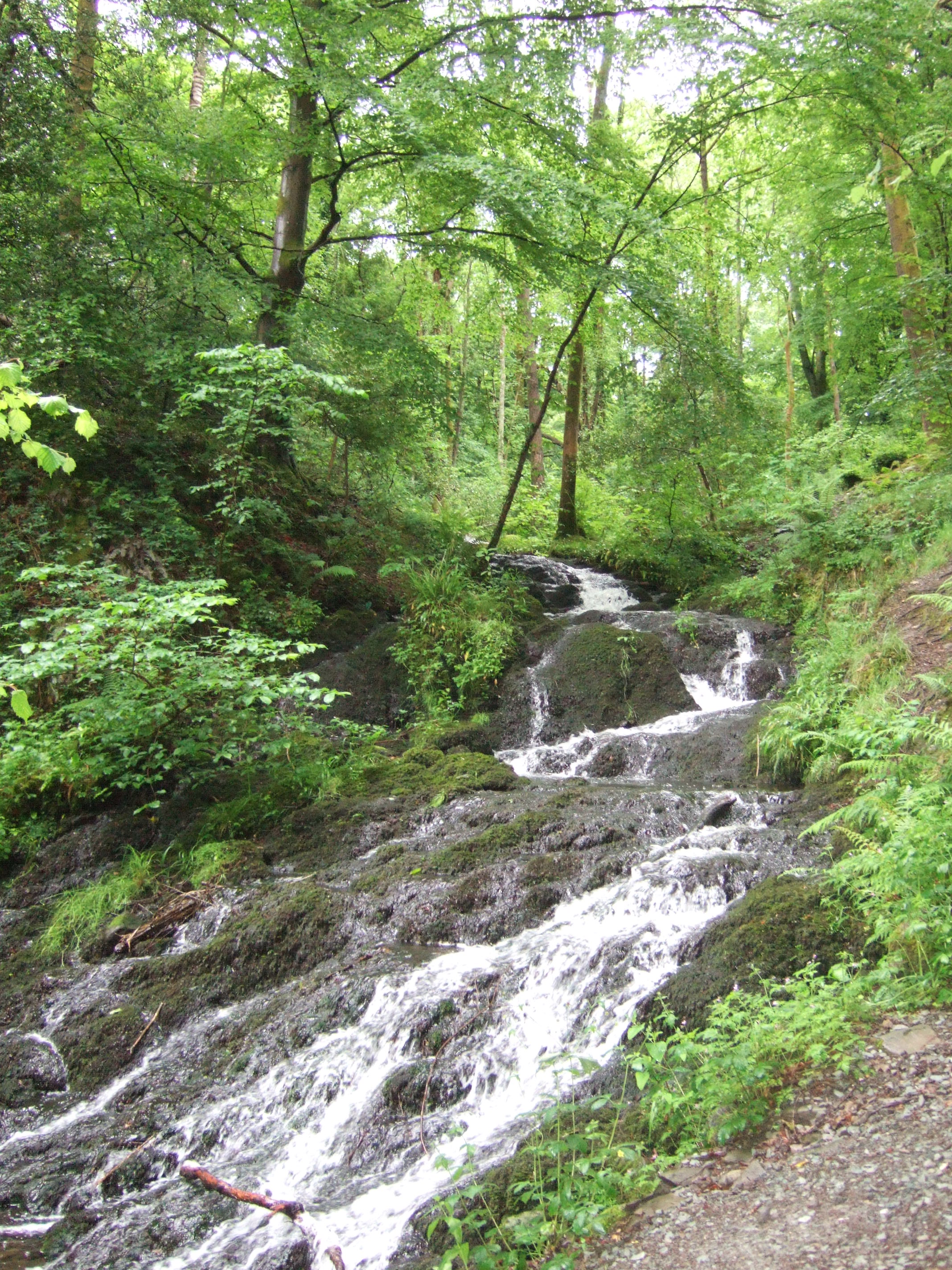 Waterfall above Windermere in the Lake District