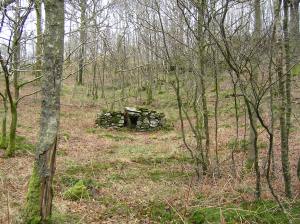 MINOLTA DIGITAL CAMERA