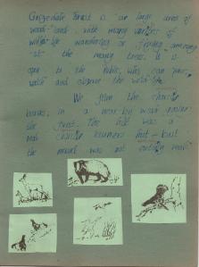 School work on Grizedale Forest