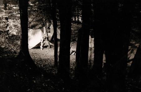 Titty alone on Wildcat Island