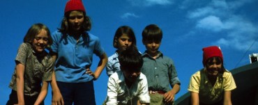 swallows_2-copy-610x250