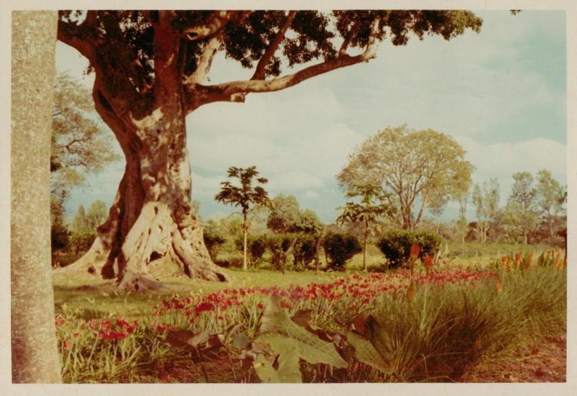 Mailer Estate in 1970