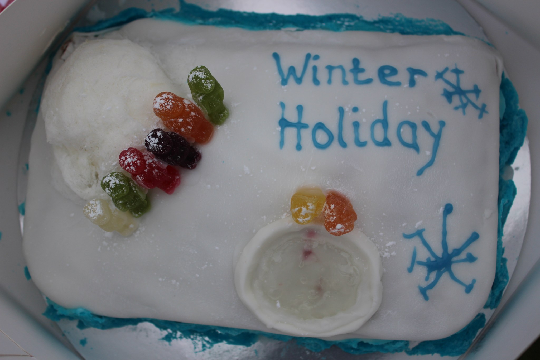 Winter Holiday cake - the tarn