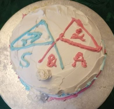 Swallows and Amazons cake