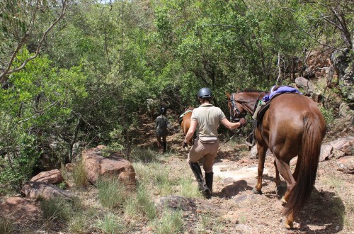 TWT Ride 2018 dismounting to tackle a steep hill - photo Sophie Neville