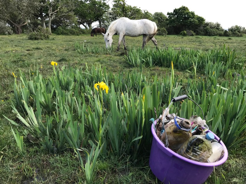 Rubbish - white pony with litter