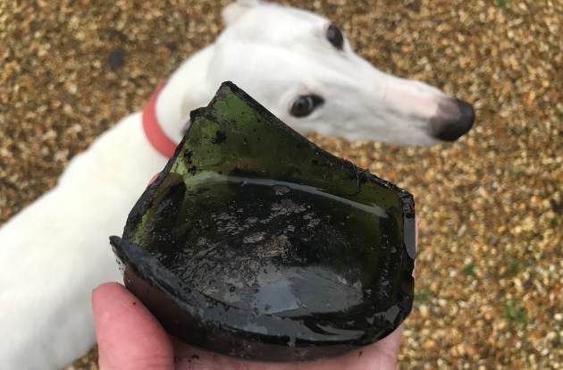 Rubbish glass with dog