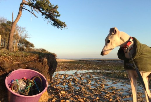 Rubbish - Solent beach clean Jan 2020