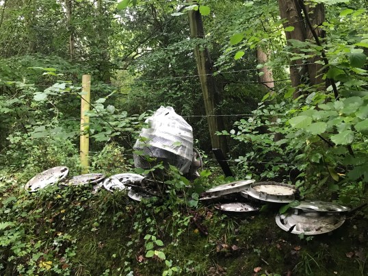 ABE35C8E-7D50-4FF0-A6C9-F8FC2E8934A3