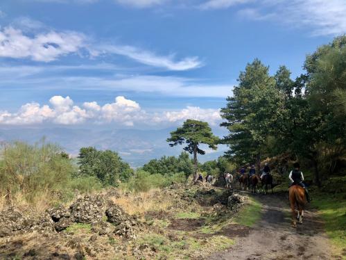 14FCAF59-4CF9-4099-8548-80CF52F2E165