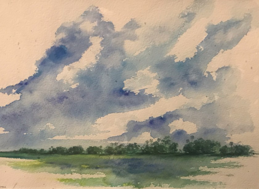 Okavango landscape by Sophie Neville