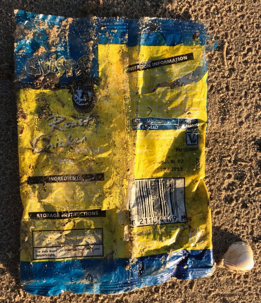 Plastic pollution collected from Solent shores Dec 2020 - photo Sophie Neville