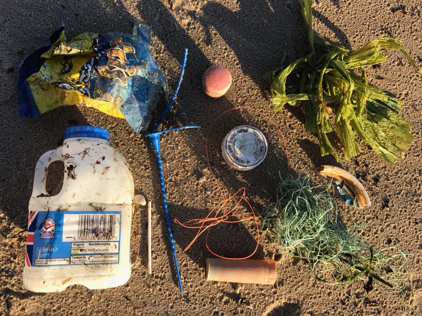 Rubbish - marine plastic January 2022